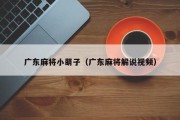 广东麻将小萌子（广东麻将解说视频）