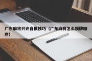 广东麻将只许自摸技巧（广东麻将怎么摸牌顺序）