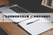 广东白搭麻将抓马怎么看（广东麻将白板技巧）