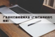 广东农村打麻将视频大全（广东打麻将的技巧视屏）