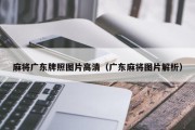 麻将广东牌照图片高清（广东麻将图片解析）